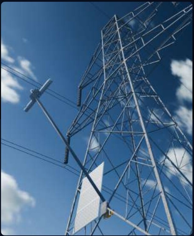 Transmission Grids